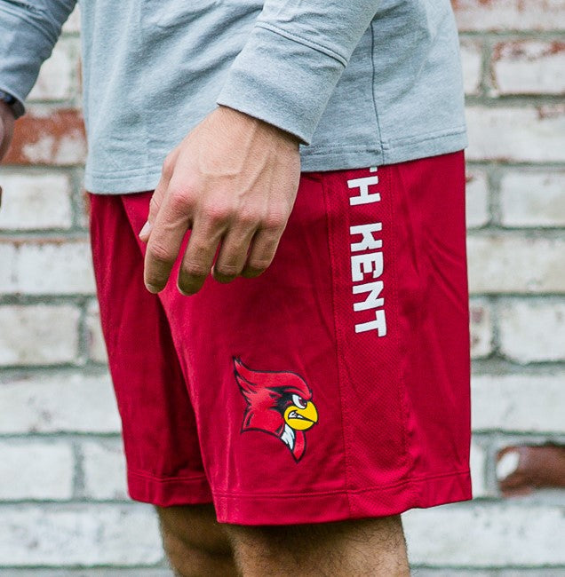 UA® Raid Shorts